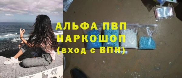экстази Гусев