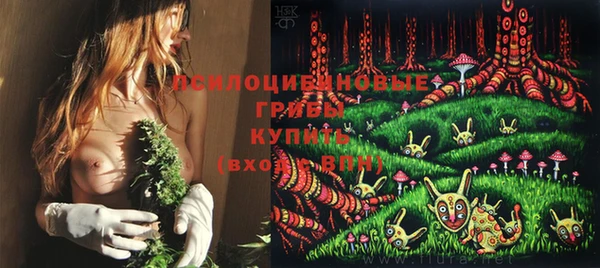 прущие крисы Арсеньев