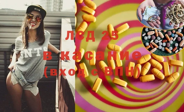 гидра Алексеевка