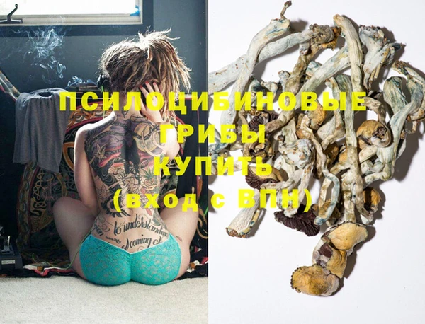 таблы Алзамай