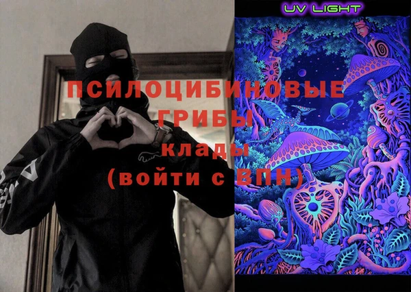 гидра Алексеевка