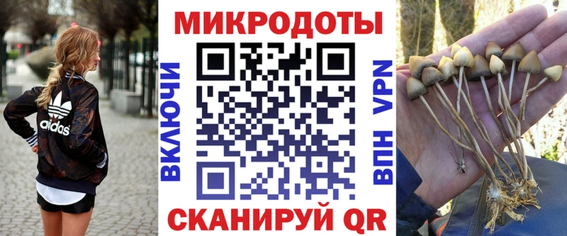 Галлюциногенные грибы GOLDEN TEACHER  Зеленоградск 